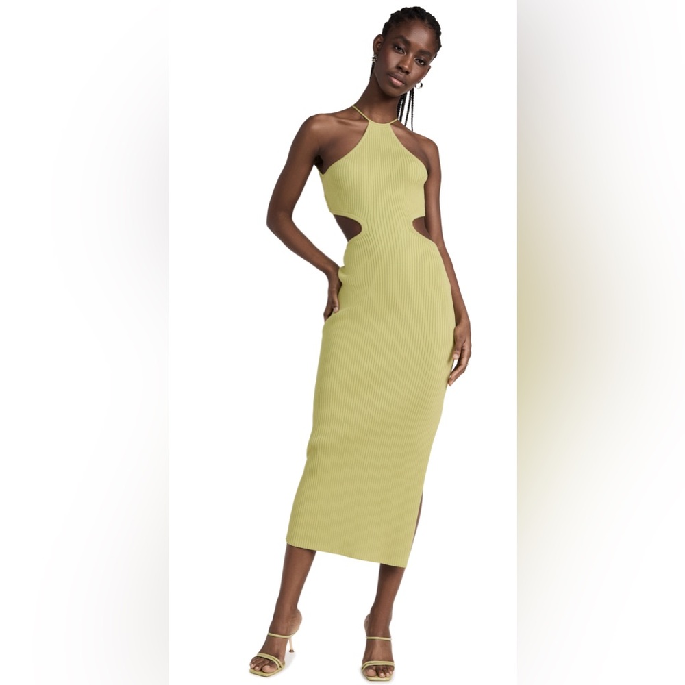 NWT Midi Dress
